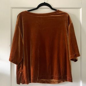 Elbow Length Copper Velvet Top